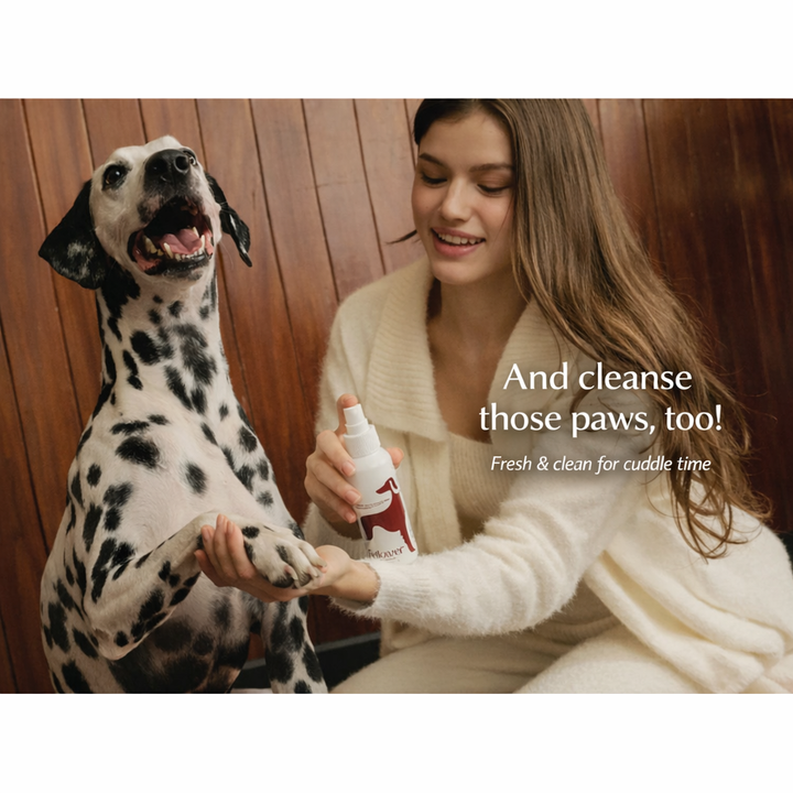 Indoor Paw & Intimate Cleansing Spray