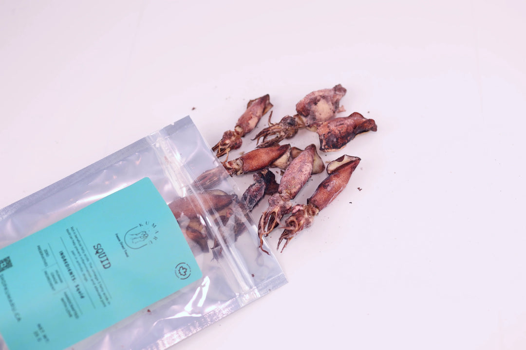 Freeze Dried Squid