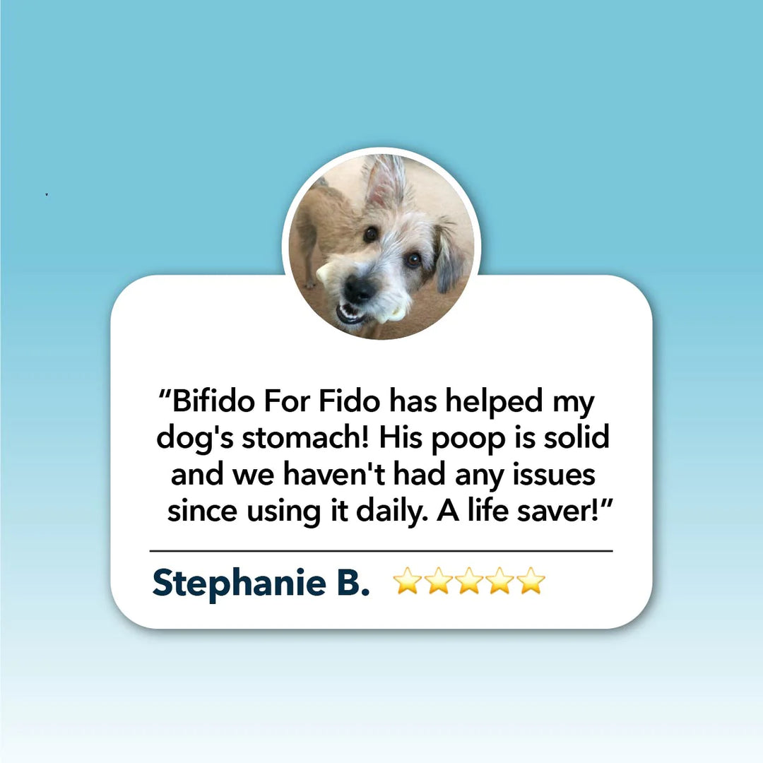 Bifido For Fido - Gut Health For Dogs