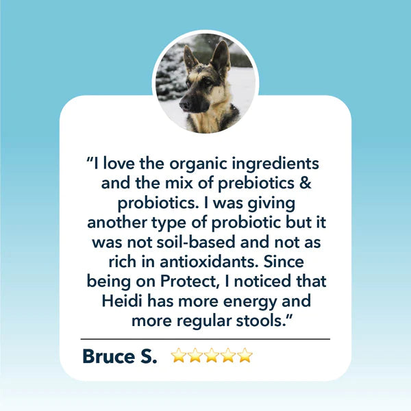 Protect - Soil Based Probiotics