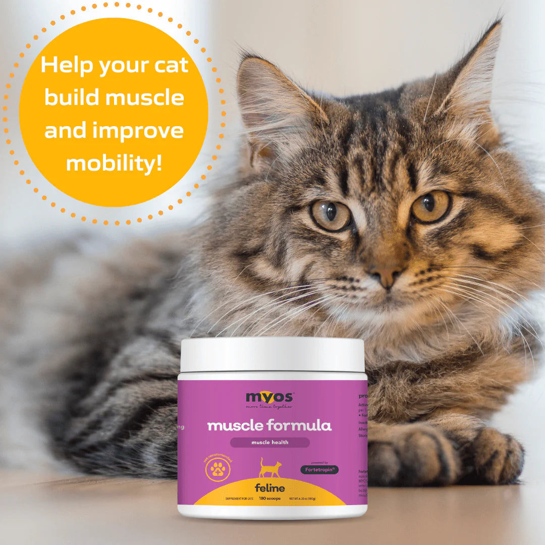 MYOS Feline Muscle Formula