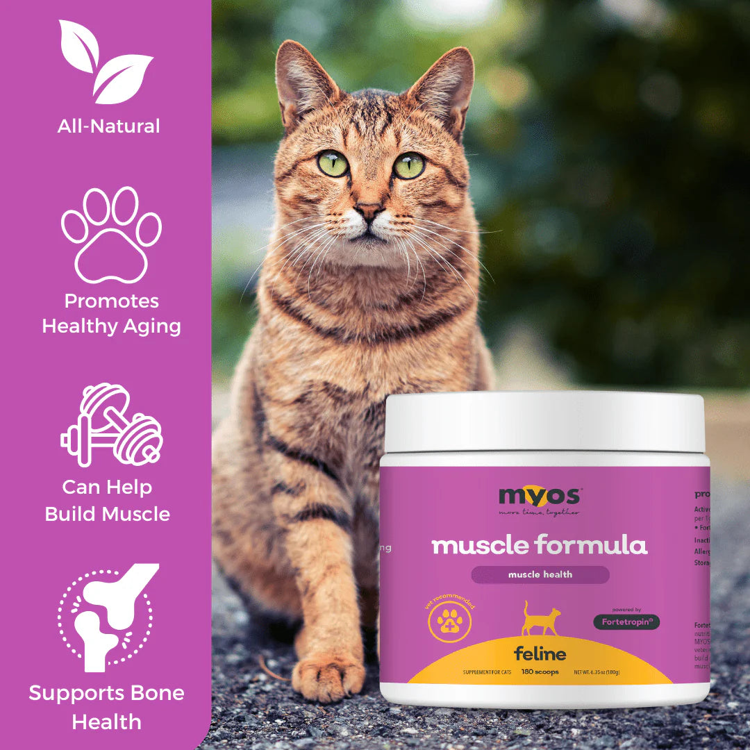MYOS Feline Muscle Formula