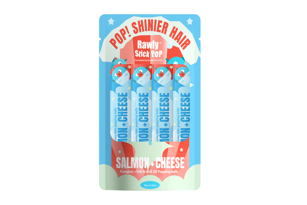 Rawly Stick POP | Salmon & Cheese