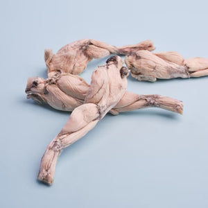 Bull Frog Leg