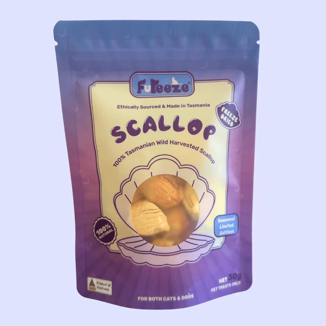 Freeze Dried Scallop