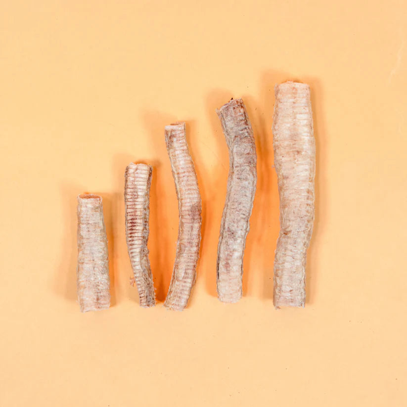 Freeze Dried Goose Trachea