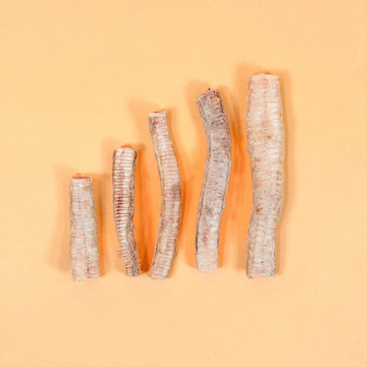 Freeze Dried Goose Trachea