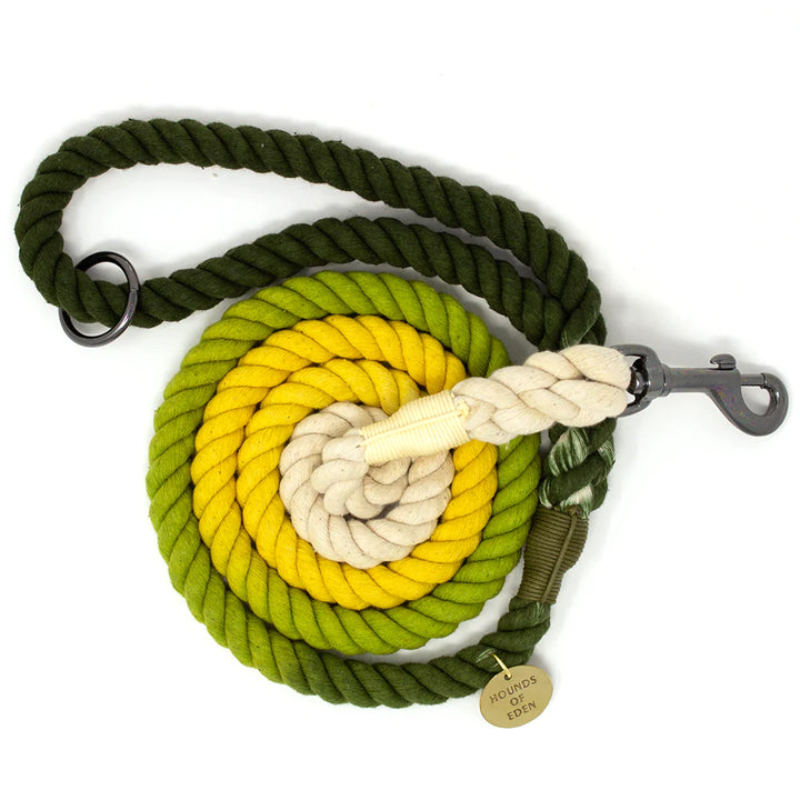 Rope Leash | Ombre Green & Yellow