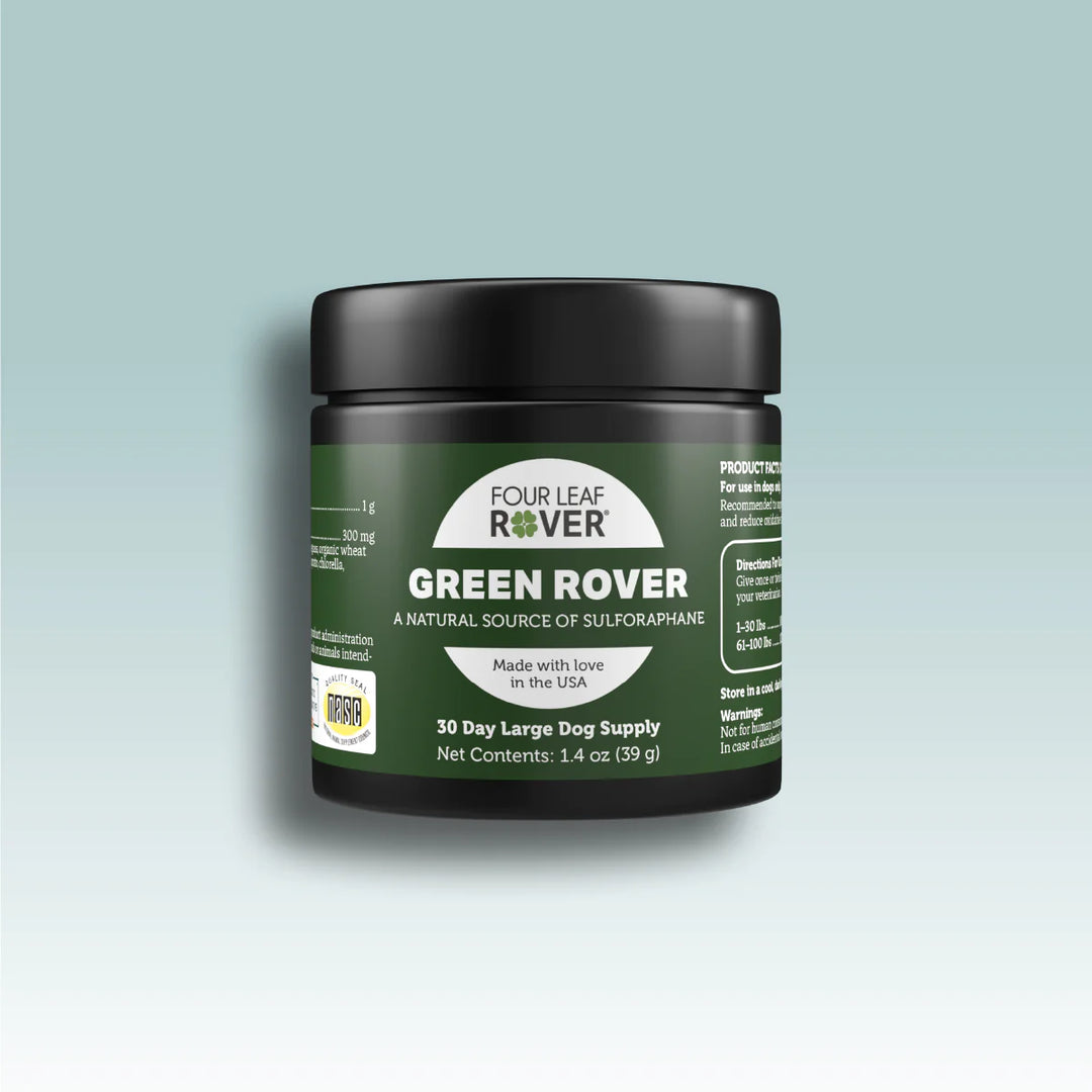 Green Rover - Broccoli Sprouts & Ferment For Dogs