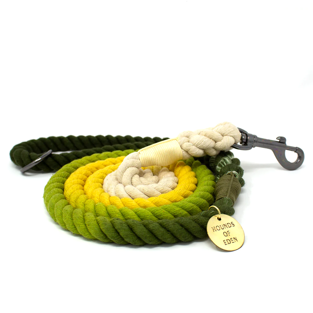 Rope Leash | Ombre Green & Yellow