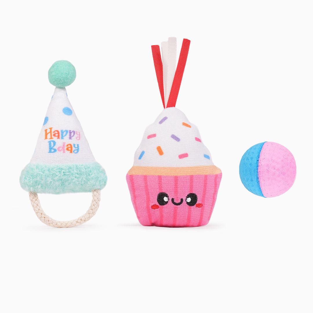 Yappy Birthday | Cake & Hat