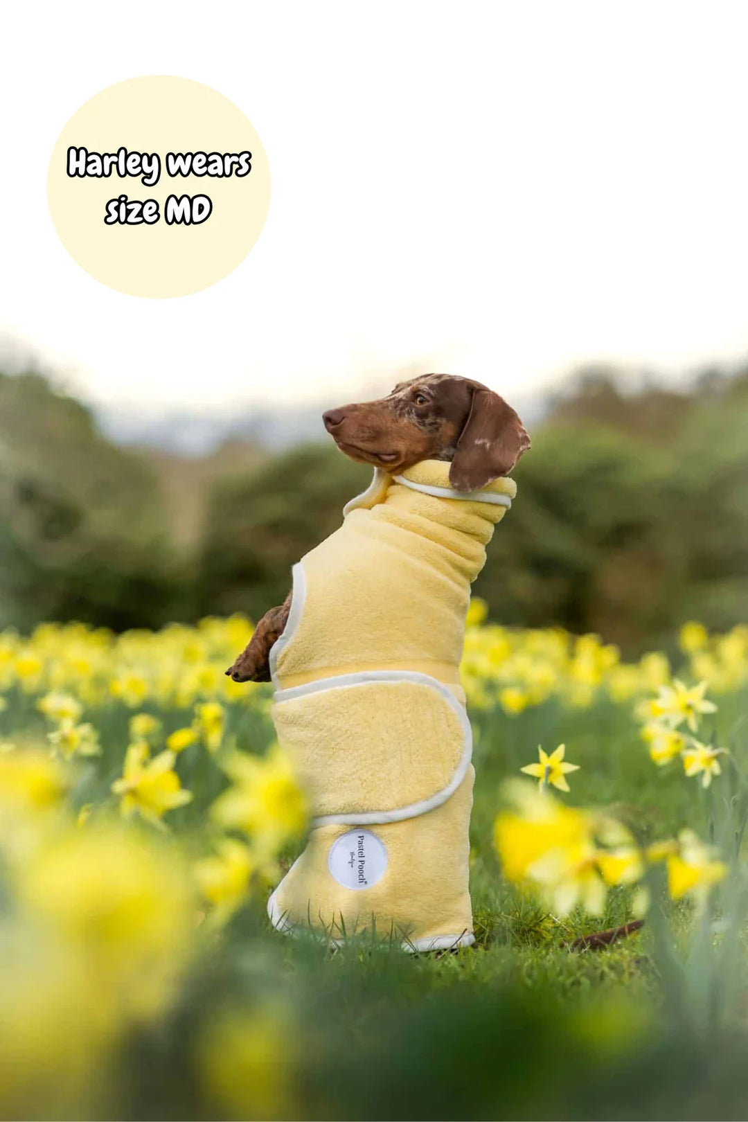 Dog Drying Coat | Butter Yellow