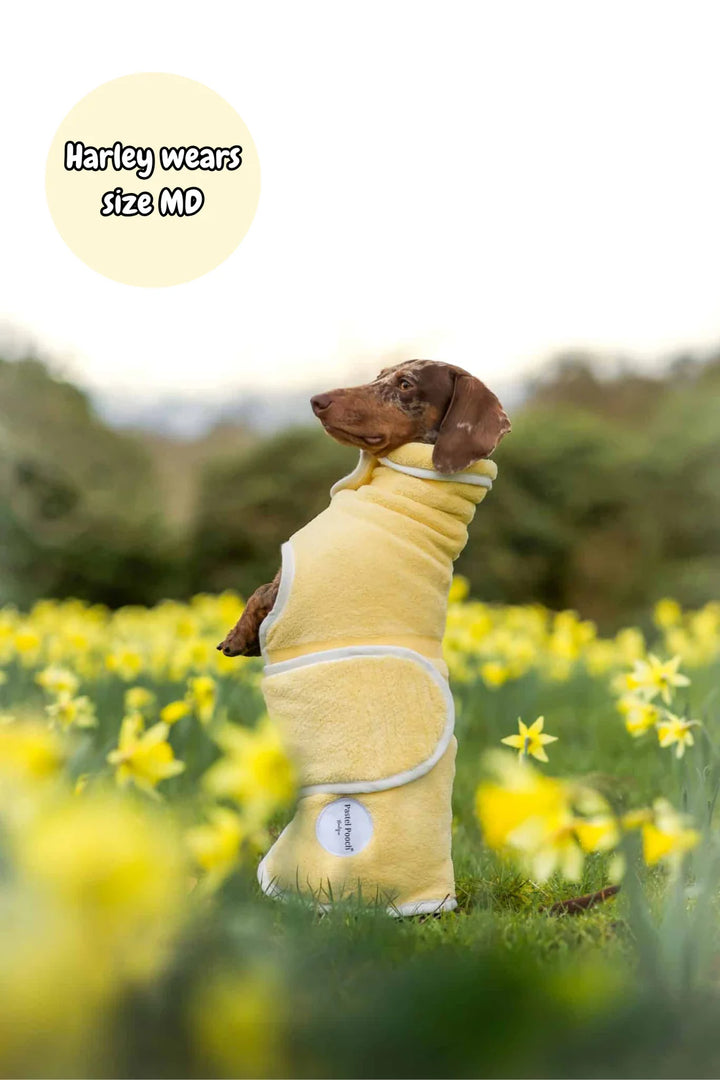 Dog Drying Coat | Butter Yellow