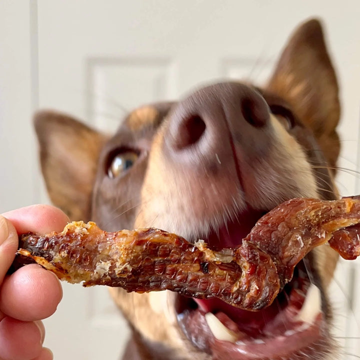 Make It Snappy - Crocodile Jerky