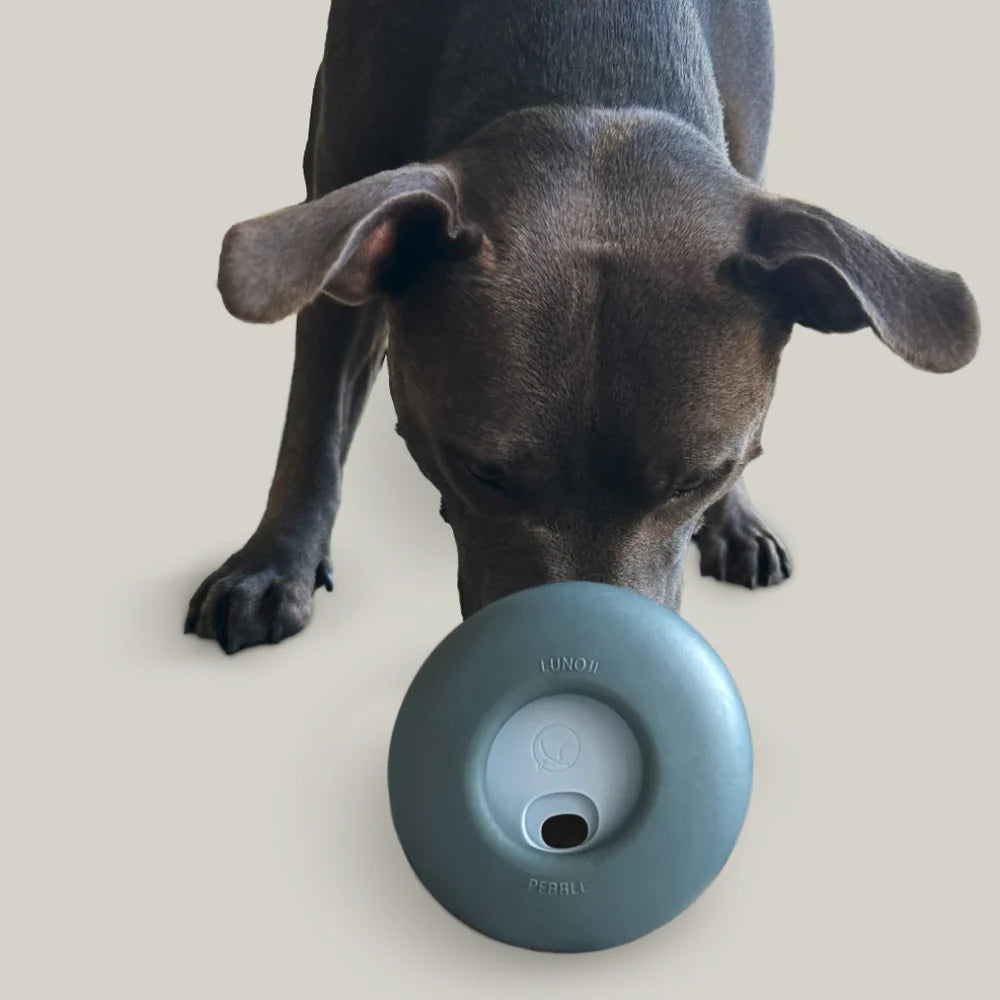 Pebble | All-in-One Puzzle Toy