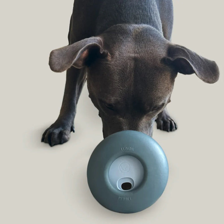 Pebble | All-in-One Puzzle Toy