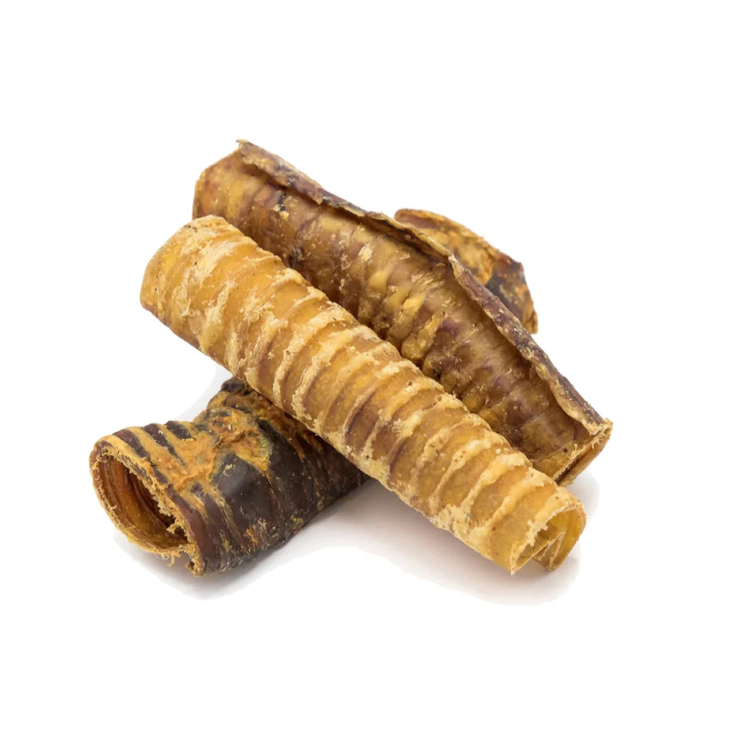 Buffalo Trachea