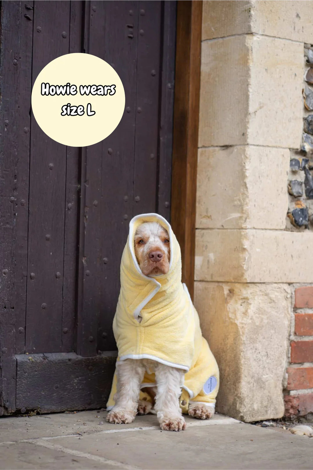 Dog Drying Coat | Butter Yellow
