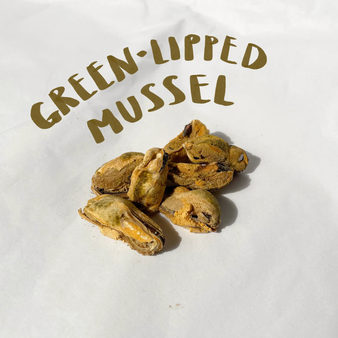 Freeze-Dried Green Lipped Mussel