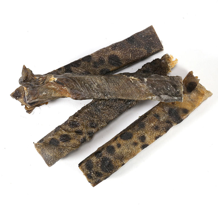 Wolf Fish Stick