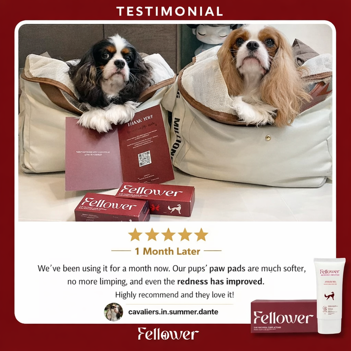 Paw Cream 3 in 1 Natural Soothing & Microbial Cream