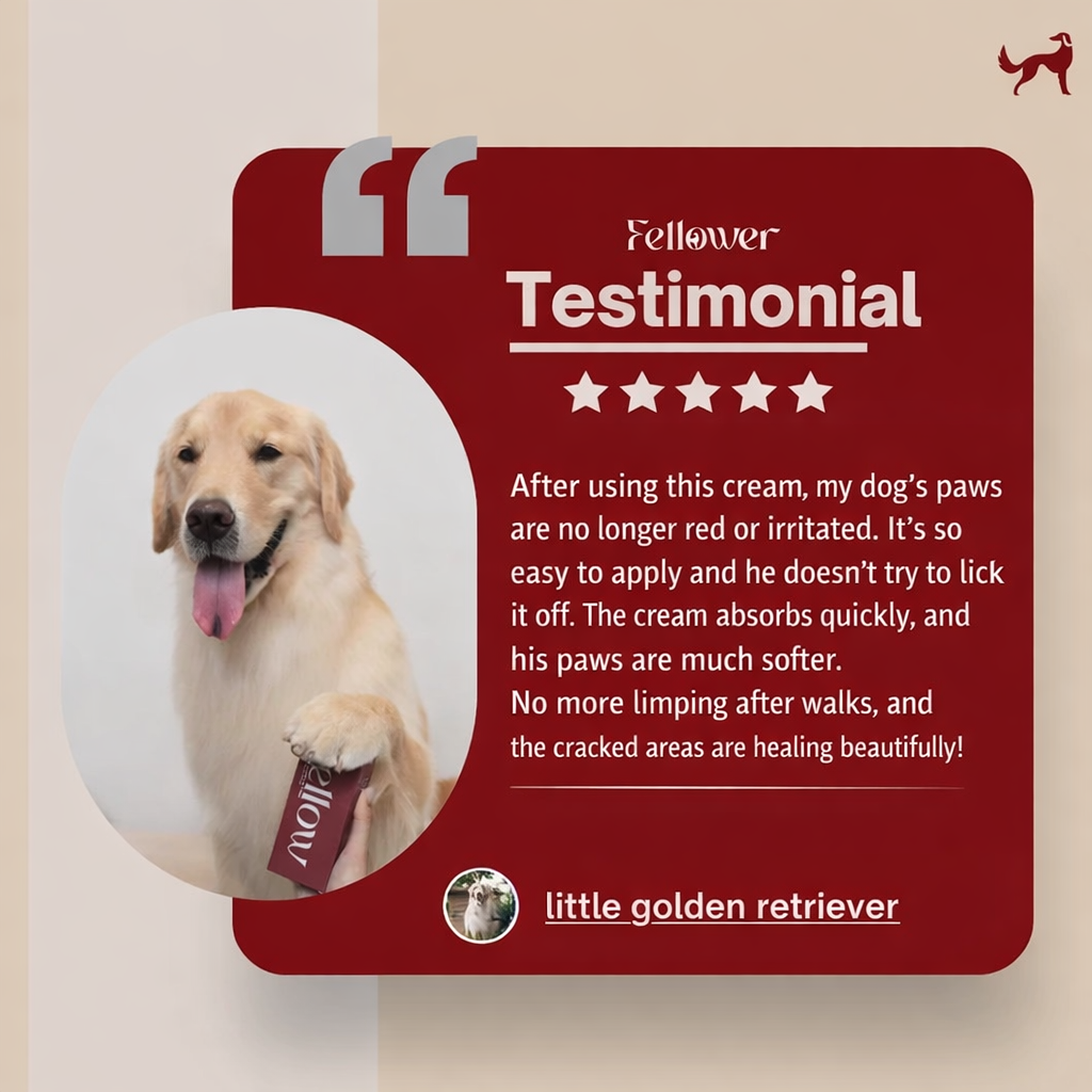 Paw Cream 3 in 1 Natural Soothing & Microbial Cream