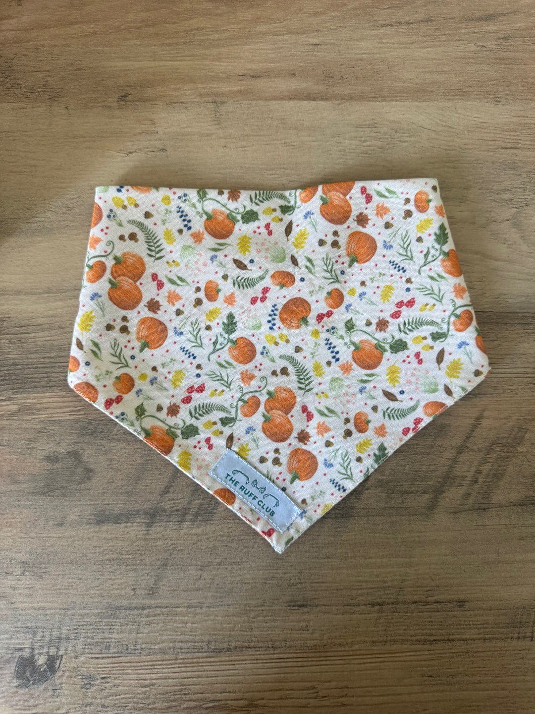 Autumn Harvest Pet Bandana | Autumn Collection