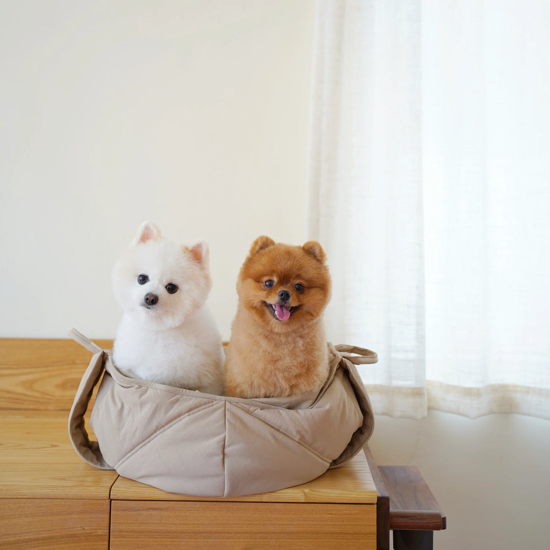 Olla Pet Carrier