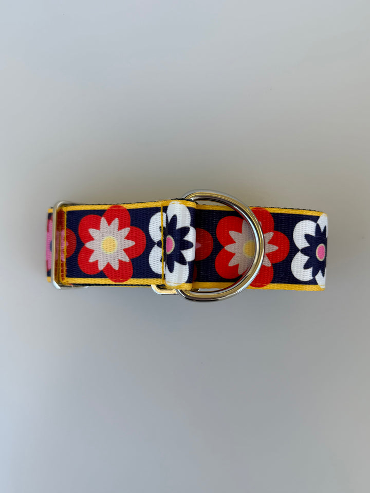 Medium Martingale Collar