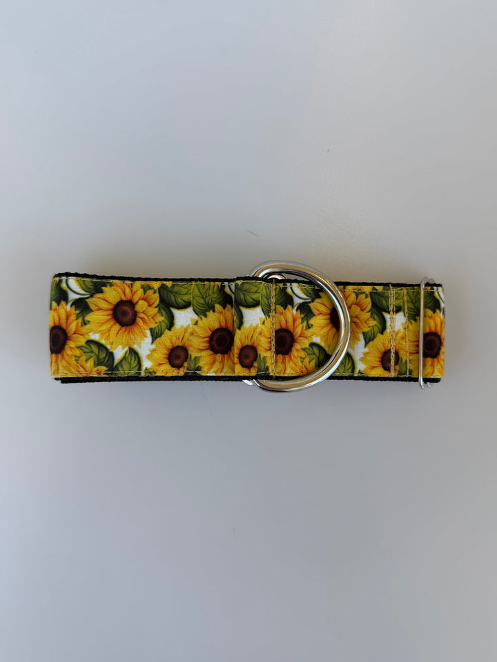 Medium Martingale Collar