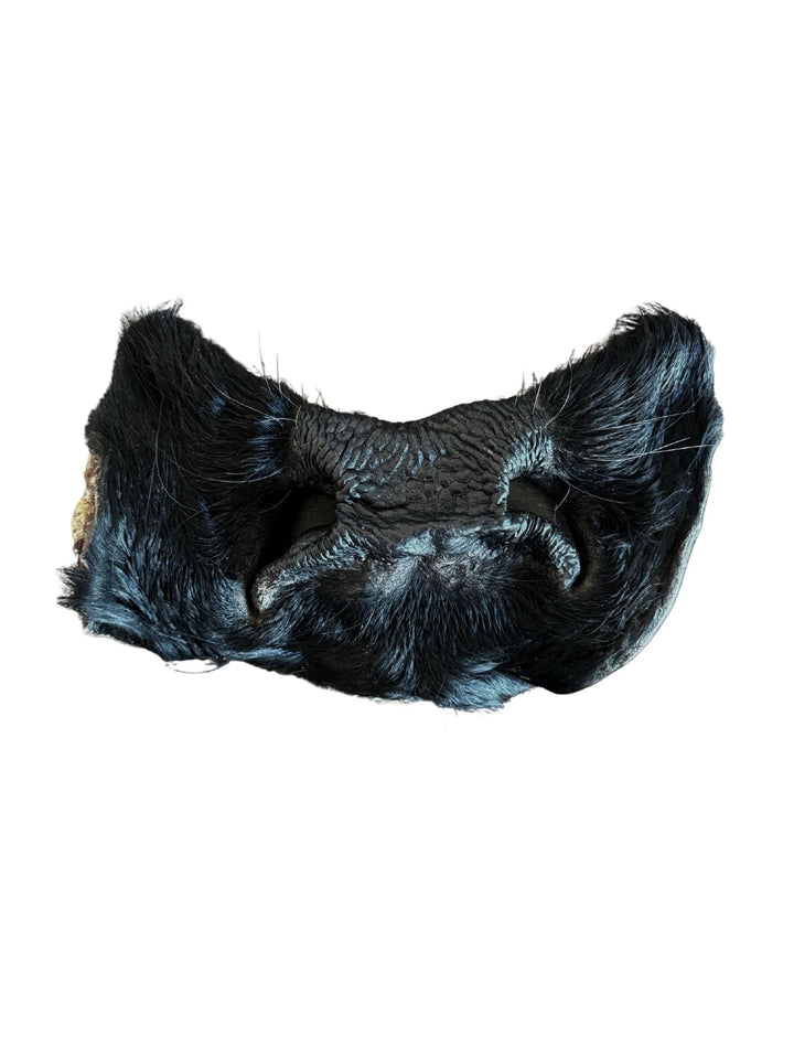 Dehydrated Grass-Fed Beef Nose Chew | Litto Howler