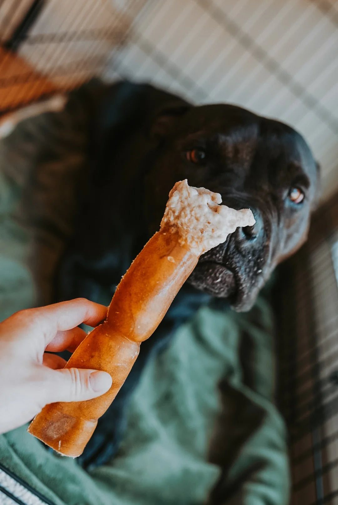 Grass-Fed Beef Hide Roll Chew No Fur | Litto Howler