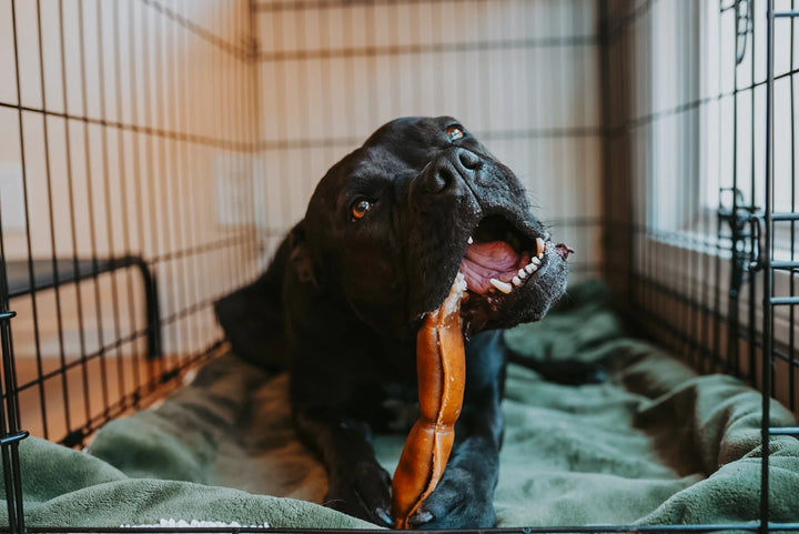 Grass-Fed Beef Hide Roll Chew No Fur | Litto Howler