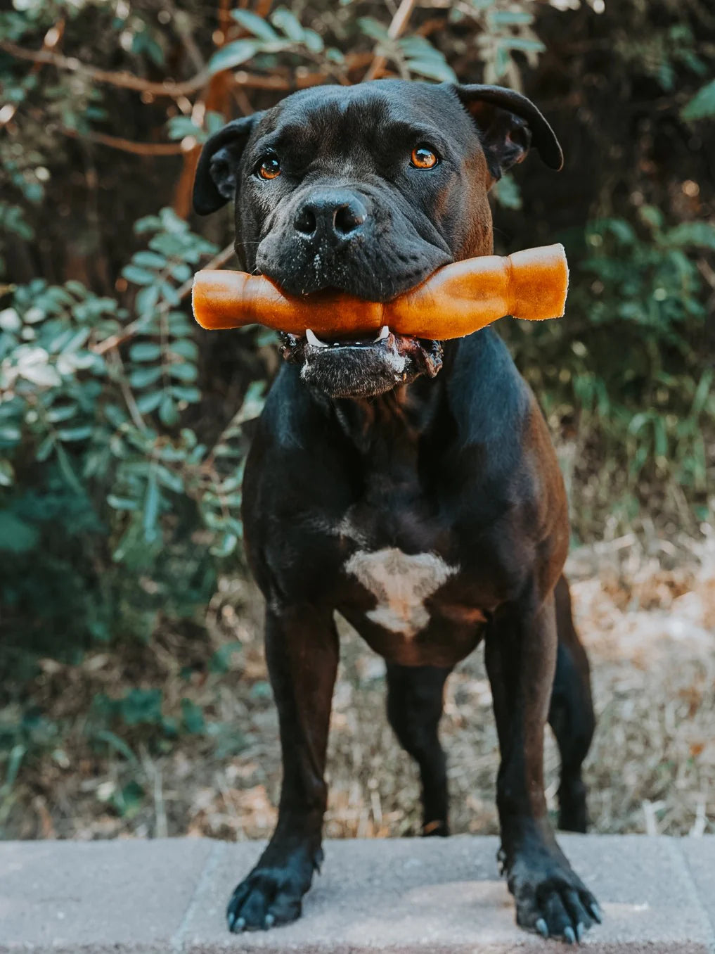 Grass-Fed Beef Hide Roll Chew No Fur | Litto Howler