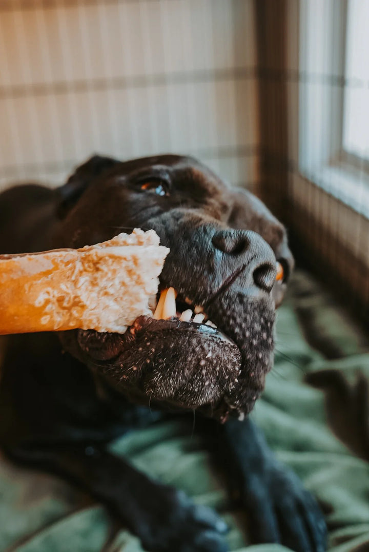 Grass-Fed Beef Hide Roll Chew No Fur | Litto Howler