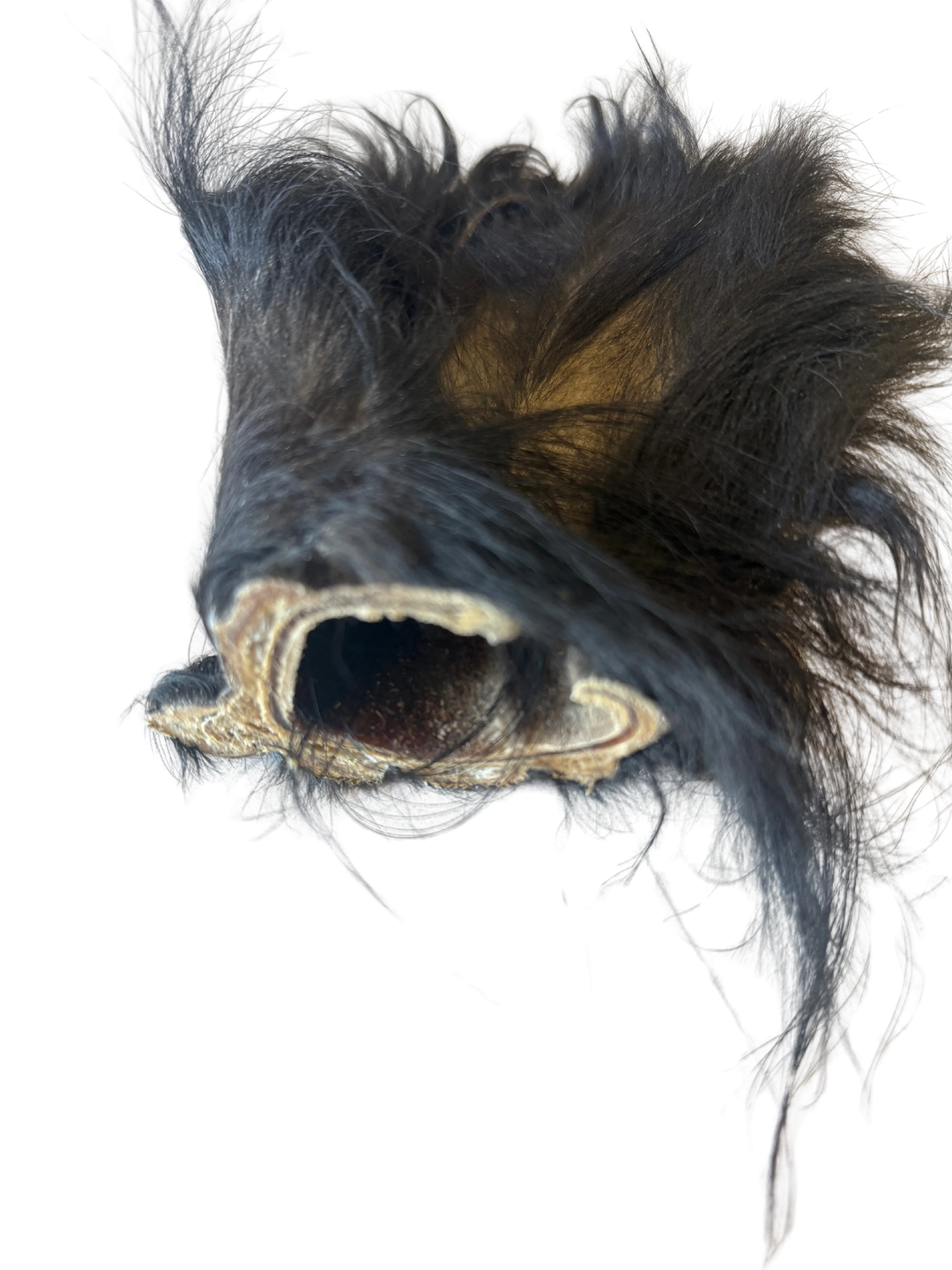 Dehydrated Grass-Fed Beef Ear Chew | Litto Howler