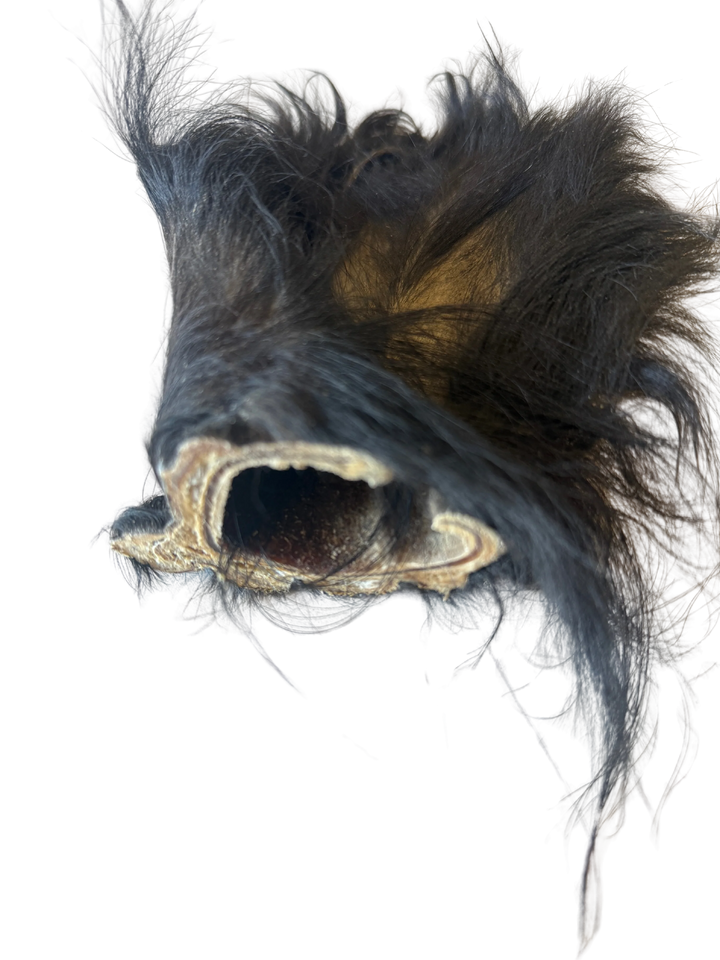 Dehydrated Grass-Fed Beef Ear Chew | Litto Howler