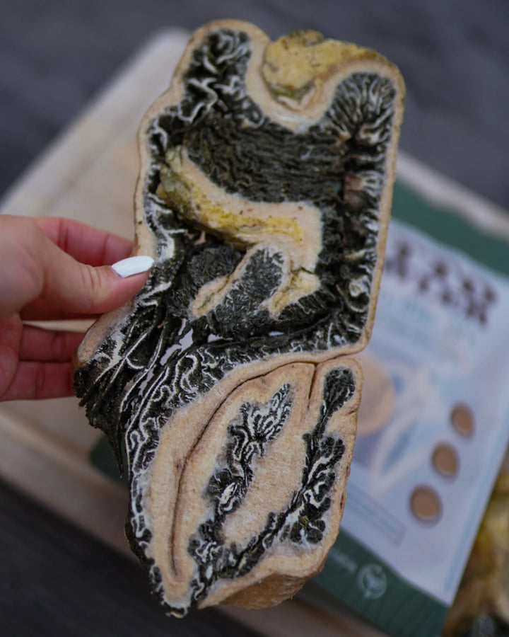 Freeze-Dried Grass-Fed Beef Green Tripe Chunks | Litto Howler