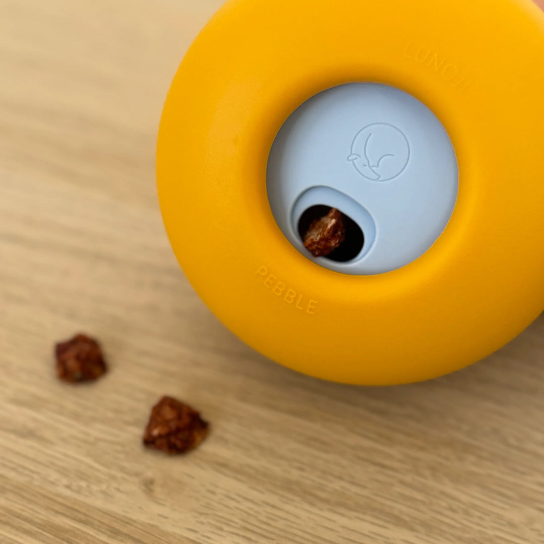 Pebble | All-in-One Puzzle Toy