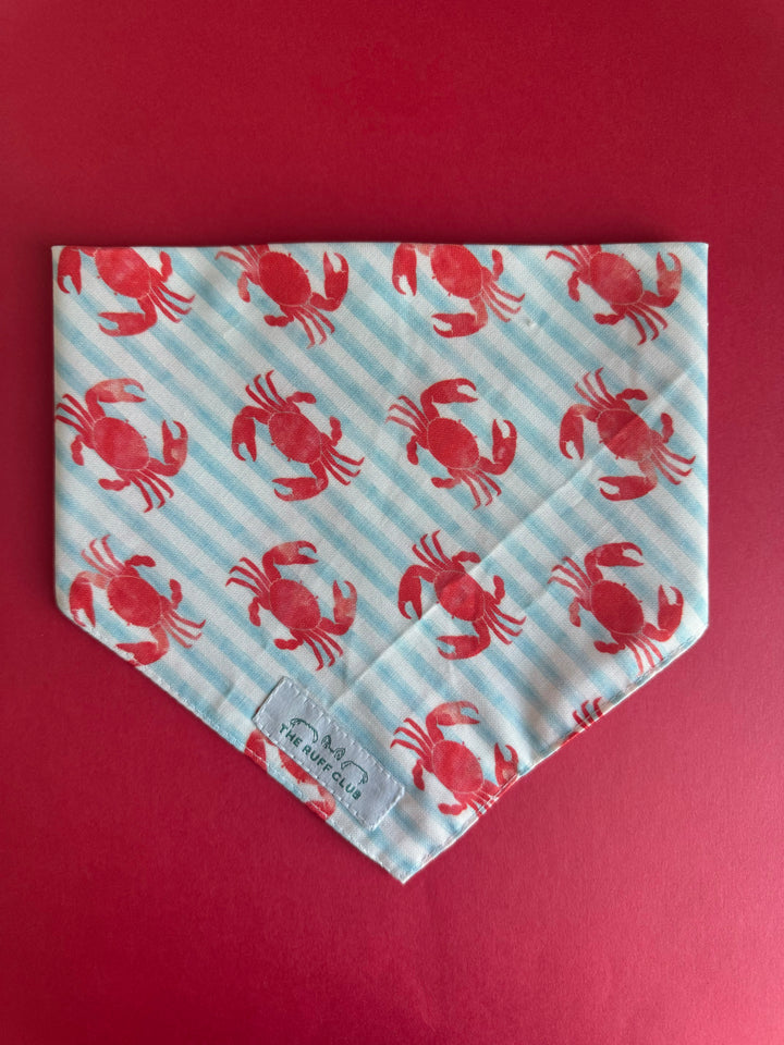 Crabby Cutie Pet Bandana | Second Wags Collection