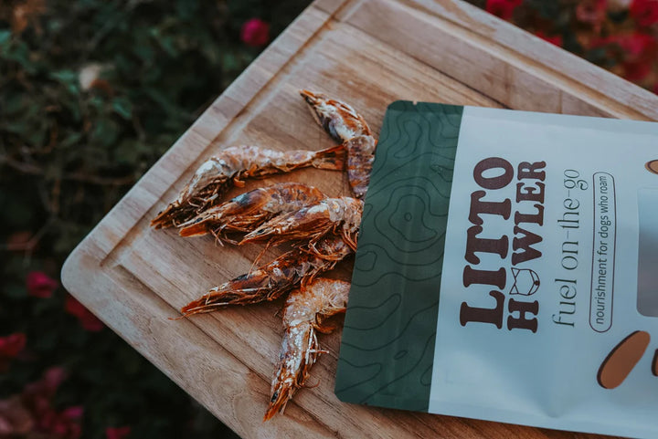 White Shrimp