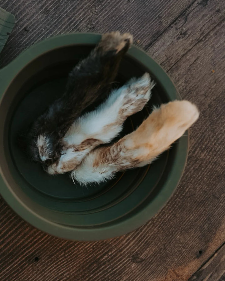 Dehydrated Wild Rabbit Feet | Litto Howler