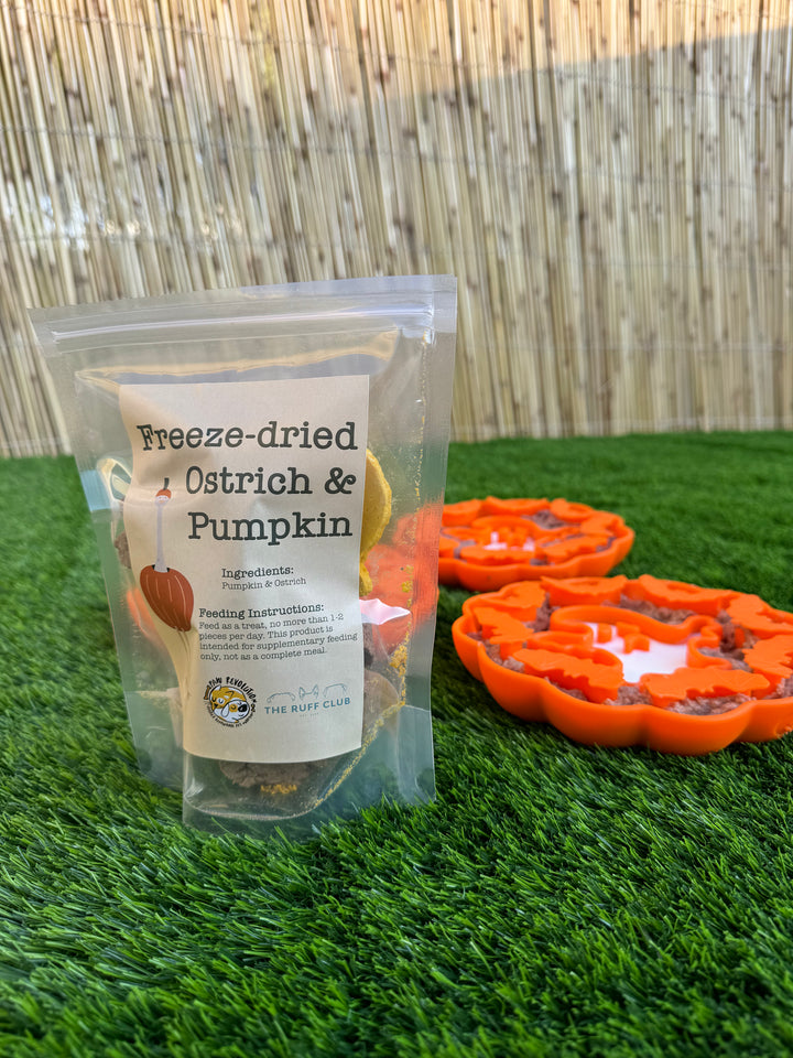 Freeze Dried Spooky Pumpkin & Ostrich Treats | LIMITED EDITION