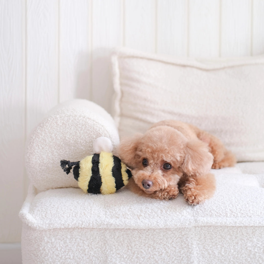 Bee Pop
