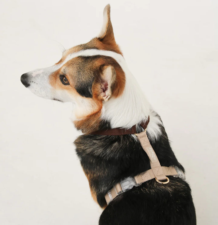 Dog Harness | Brown and Tan