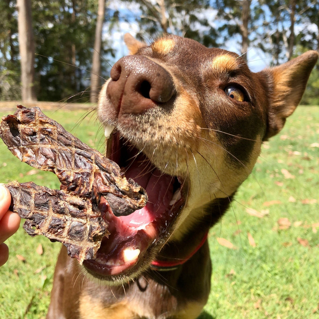 STOP! Jerky Time! - Kangaroo Jerky