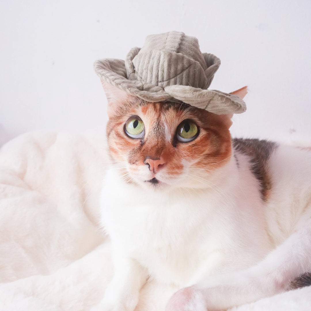 Kitty Veggie Set