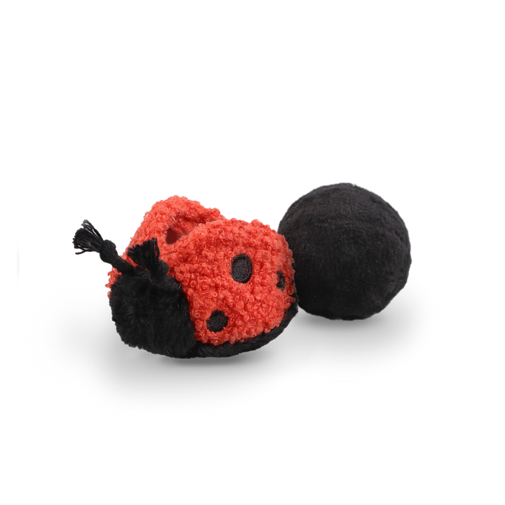 Ladybug Pop