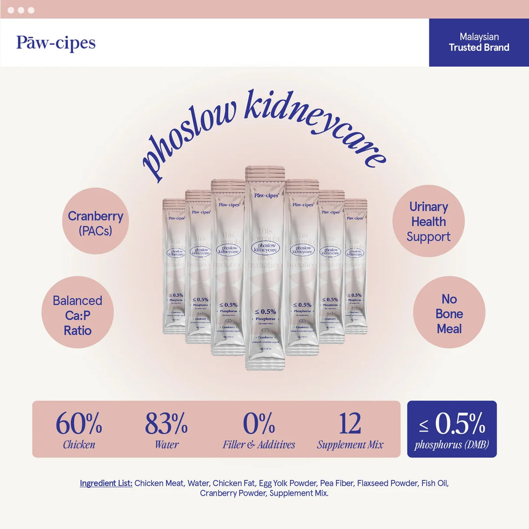 Phoslow Kidneycare