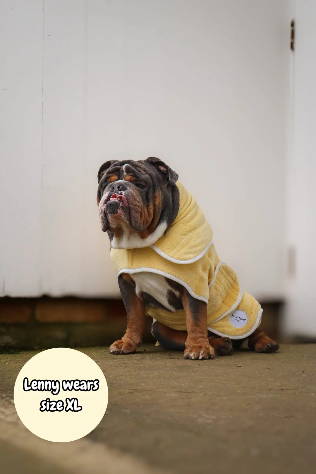 Dog Drying Coat | Butter Yellow